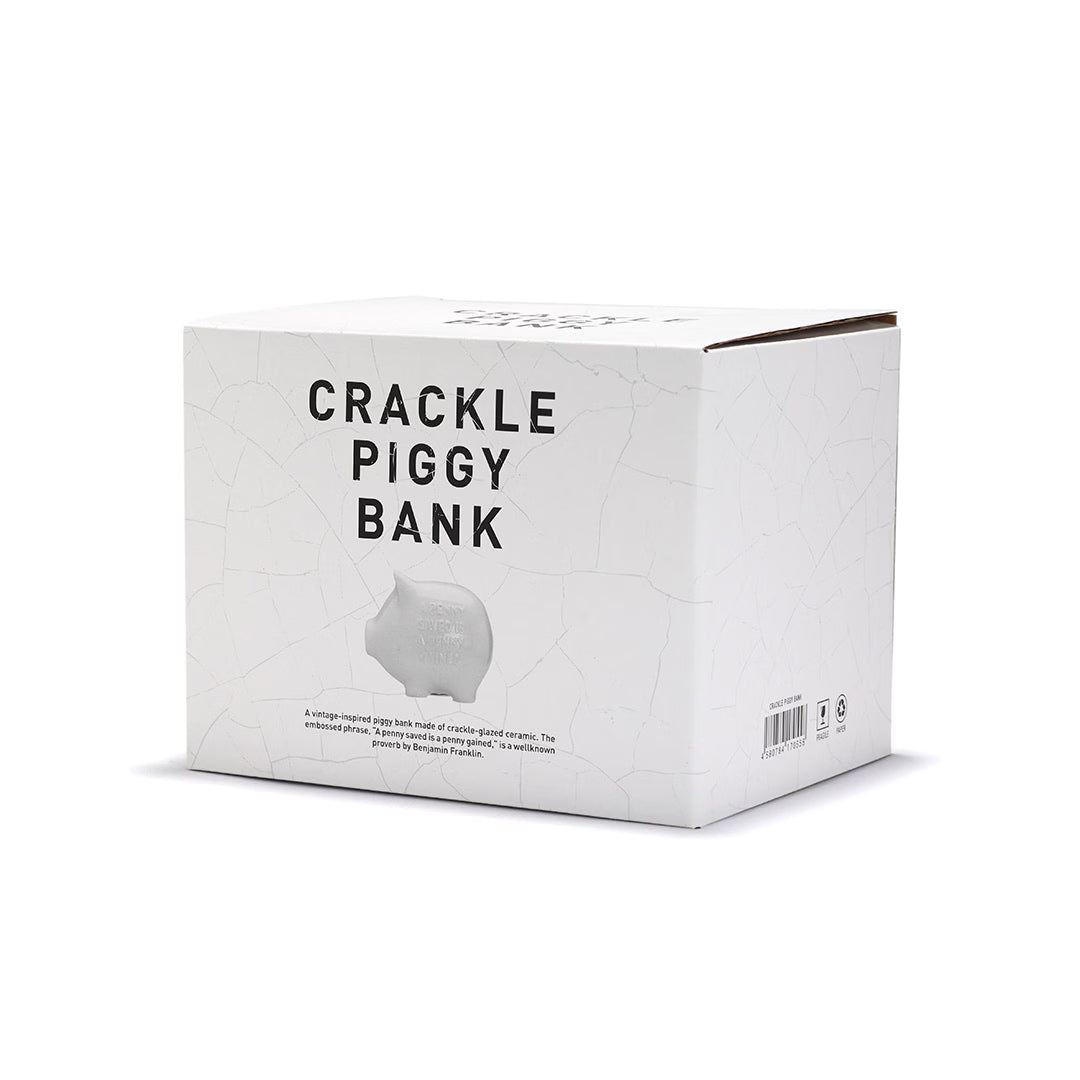 CRACKLE PIGGY BANK