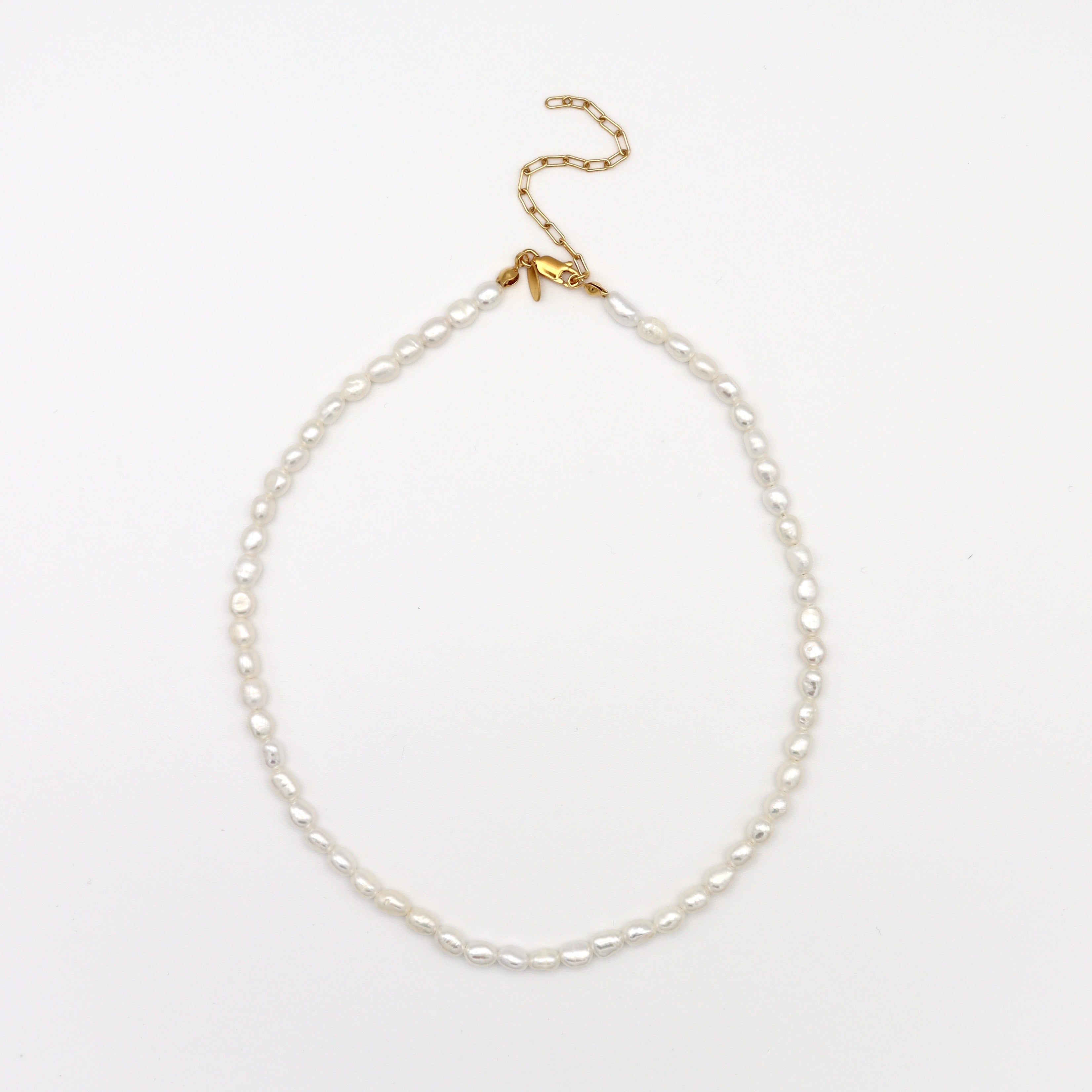 PAULINE STUDIO シルバーネックレス 新品・未使用 Necklace – PAULINE STUDIO