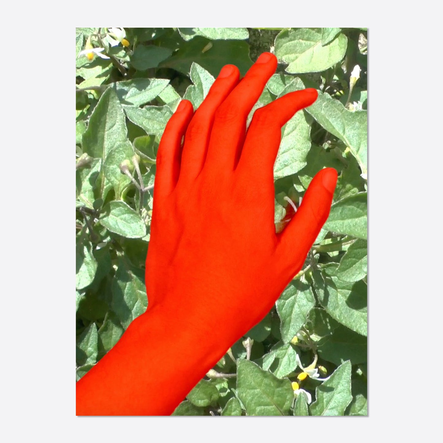 Red Hand / Maria Paton