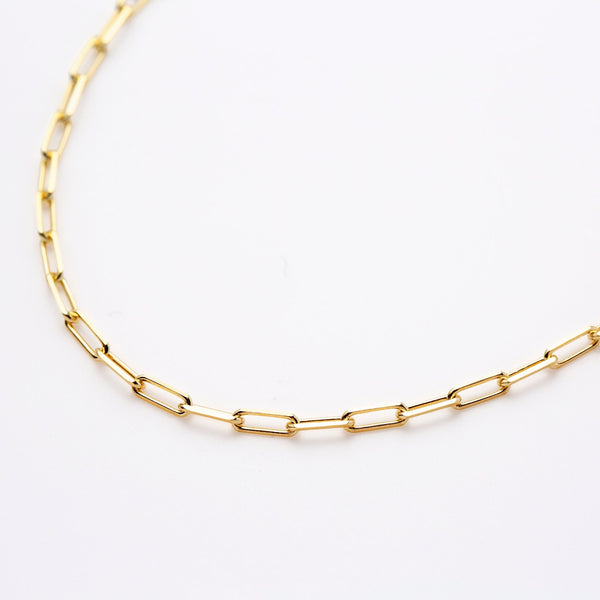 Link Chain Long Necklace（gold / silver）