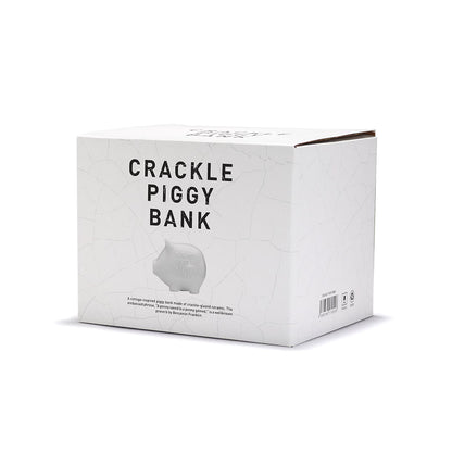 CRACKLE PIGGY BANK