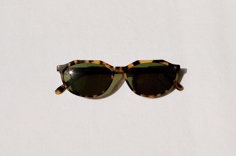 Louise Sunglasses / Turtle