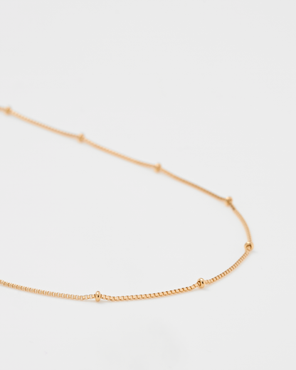 Fine Skip Chain Necklace / 18K