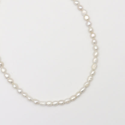 Rice Pearl Necklace / Mid（Gold / Silver）