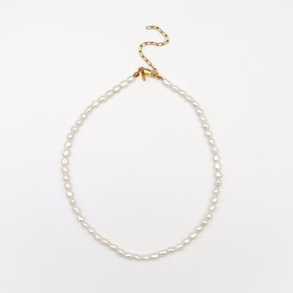 Rice Pearl Necklace / Mid（Gold / Silver）