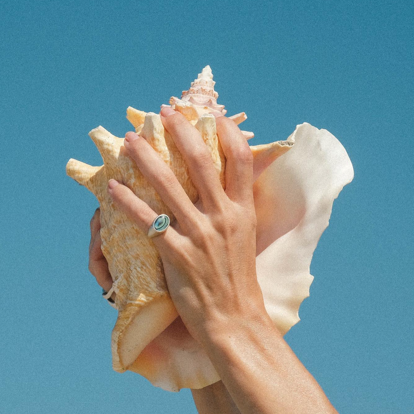 Abalone Shell Ring / Silver