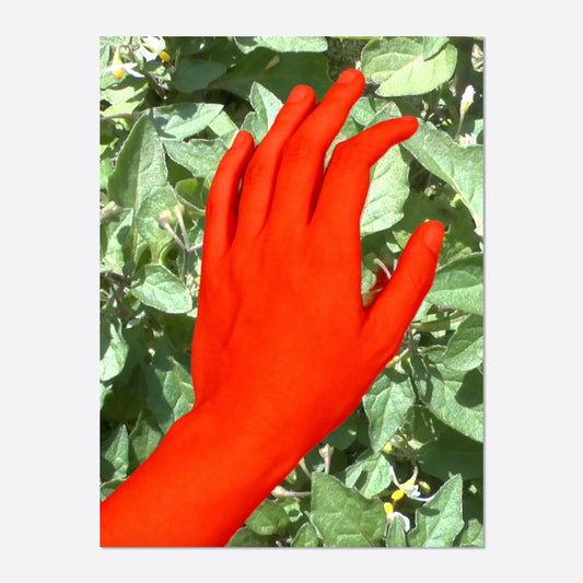 Red Hand / Maria Paton