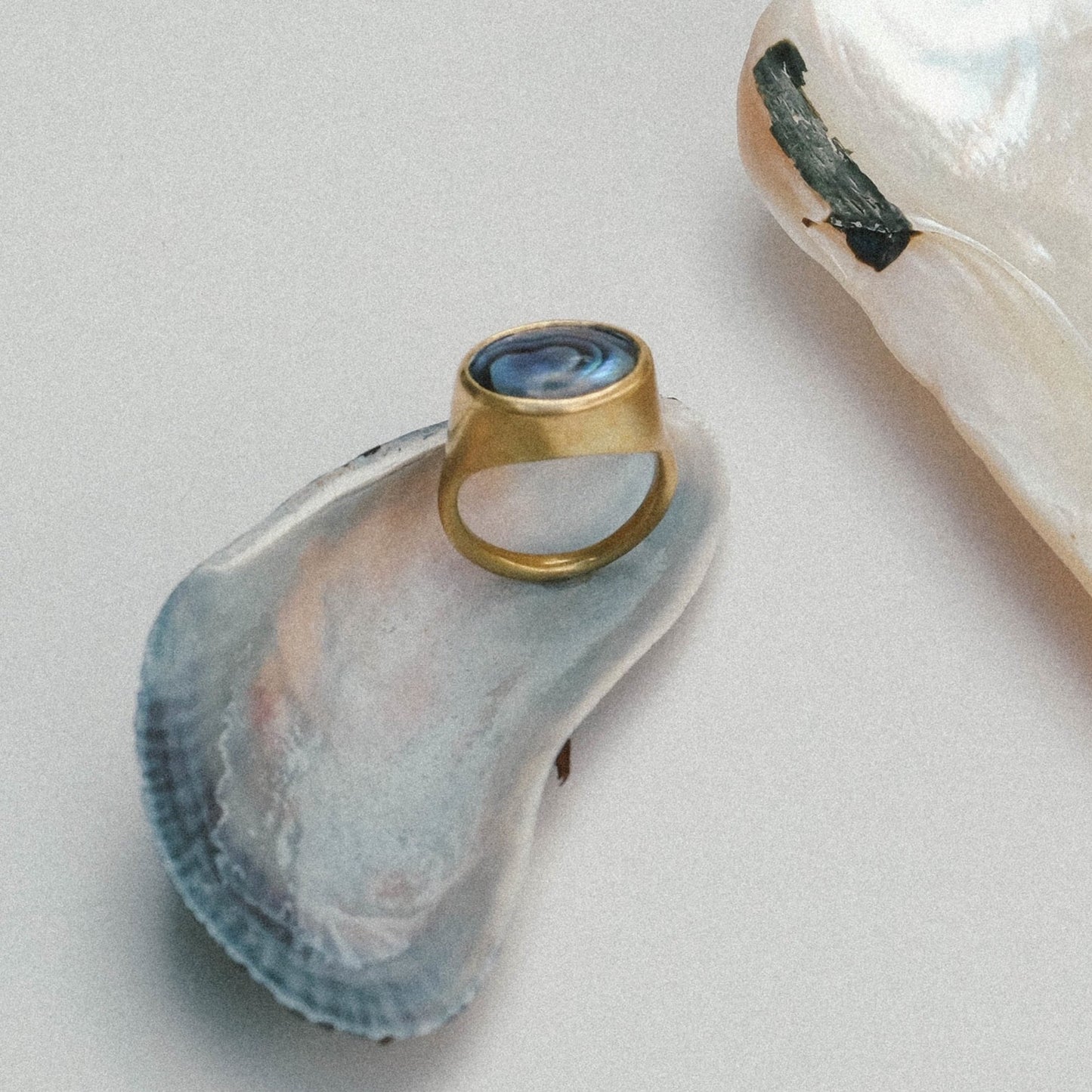 Abalone Shell Ring / Gold